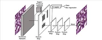 Mask RCNN Architecture